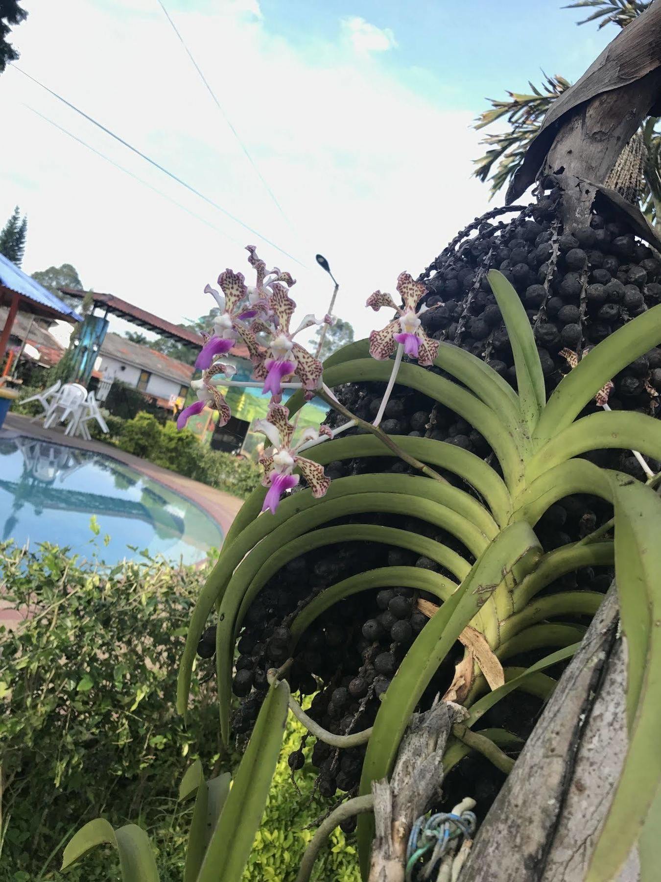 Finca Hotel La Rivera Calarcá 외부 사진